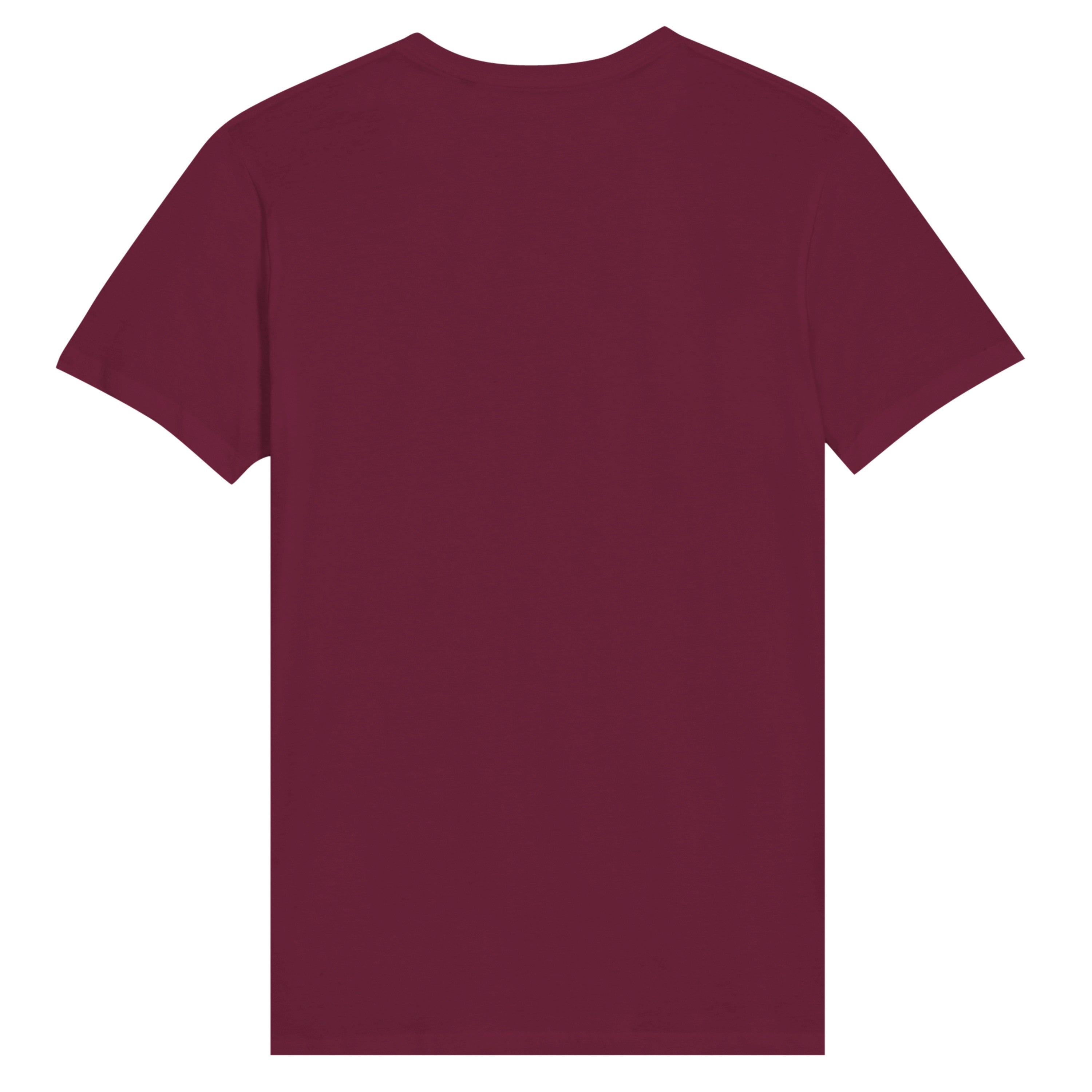 Drift V-Neck Tee – Women’s
