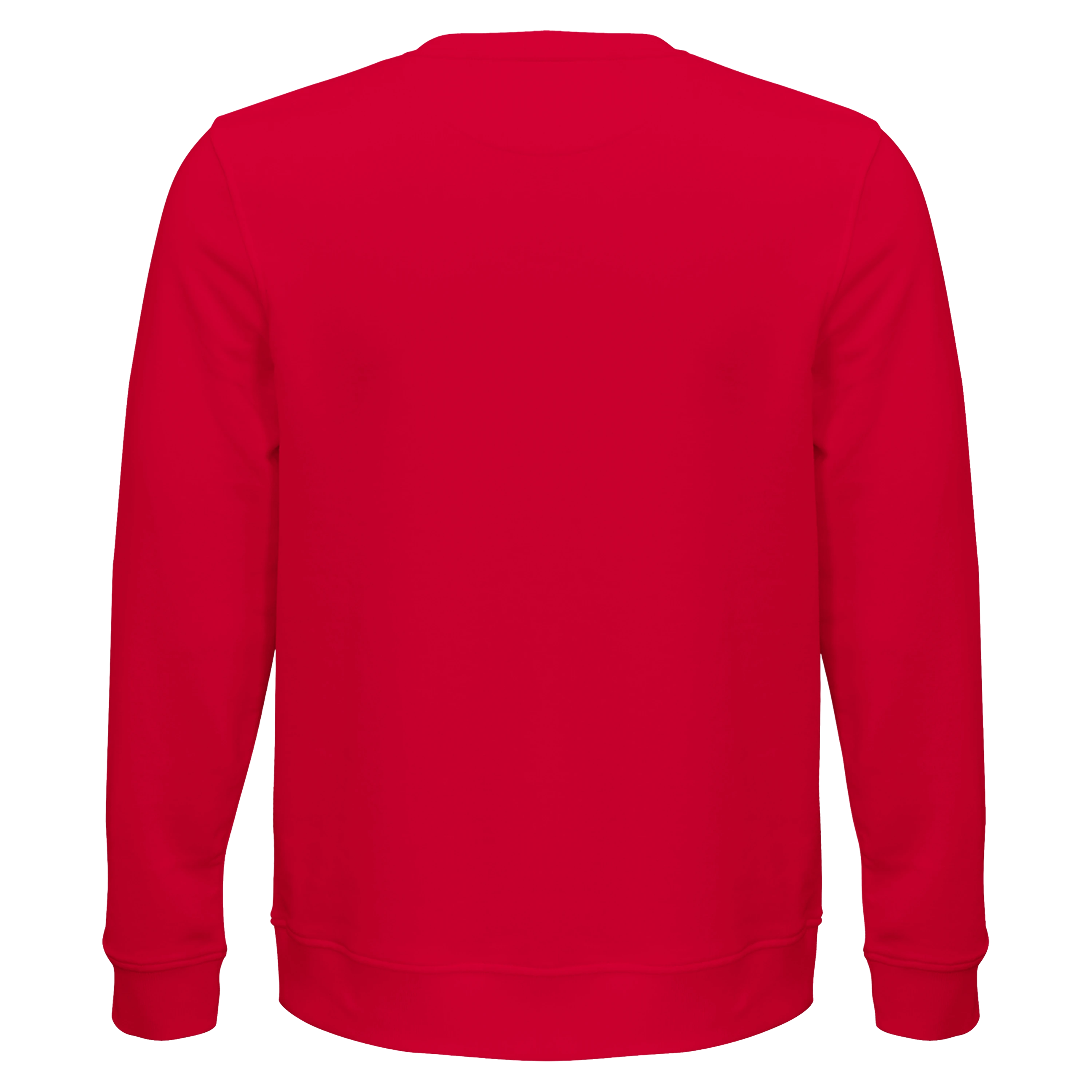 Earth Crew Sweatshirt – Men’s