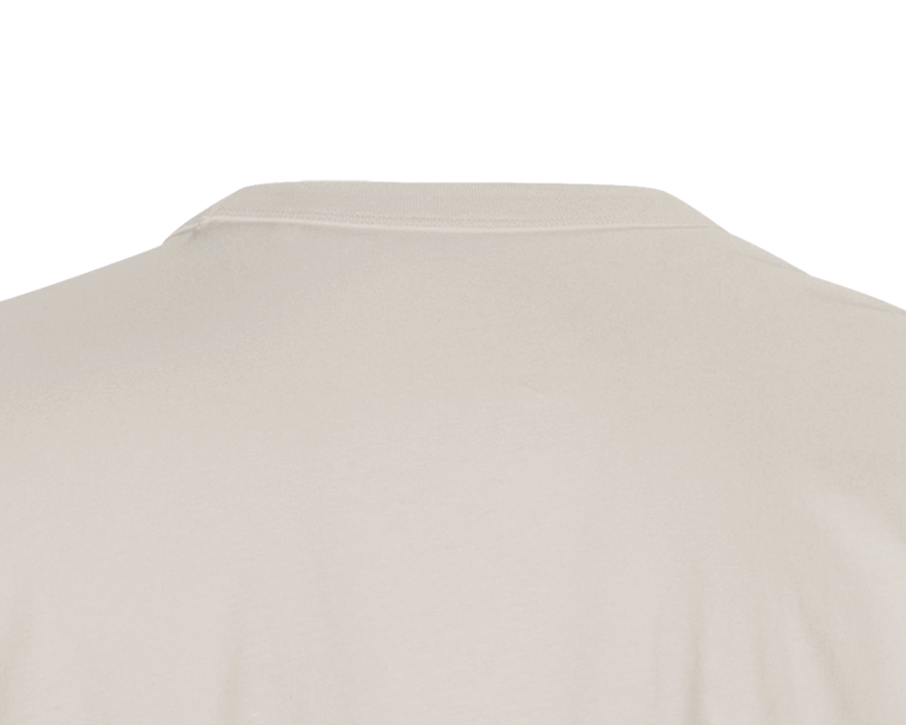 Organic In Conversion Men's Oversized T-shirt