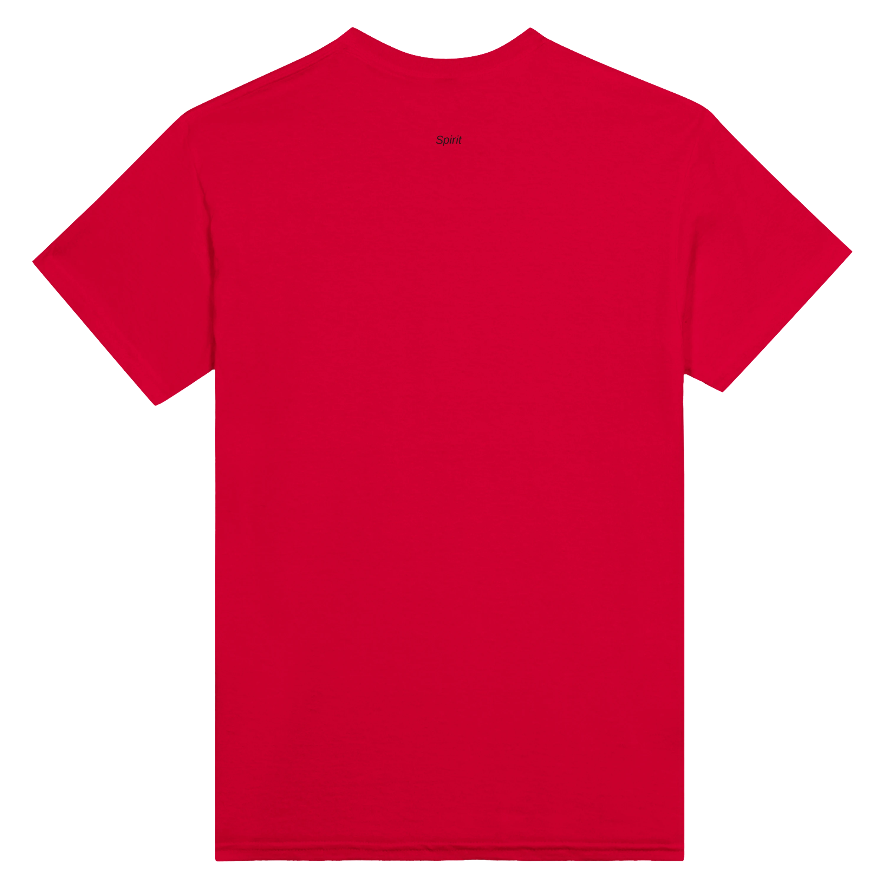 Base Heavyweight Tee – Women’s